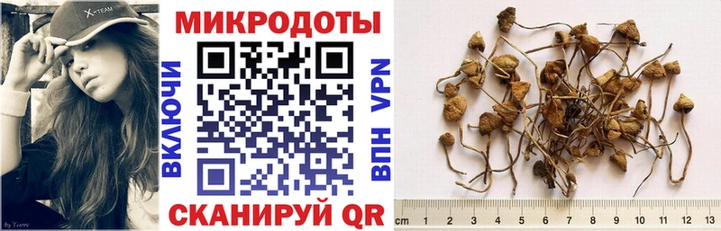 как найти закладки  Светлый  Псилоцибиновые грибы Psilocybe 